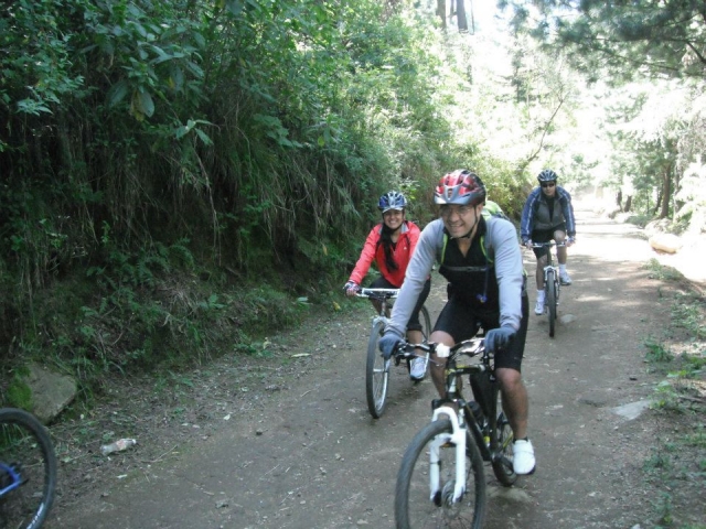 Visitas guiadas guiados